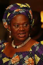 uretfærdigt. Nigerias informationsminister Dora Akunyili siger, at det er uretfærdigt, at USA har indført skærpet indrejsekontrol for landets indborgere. 