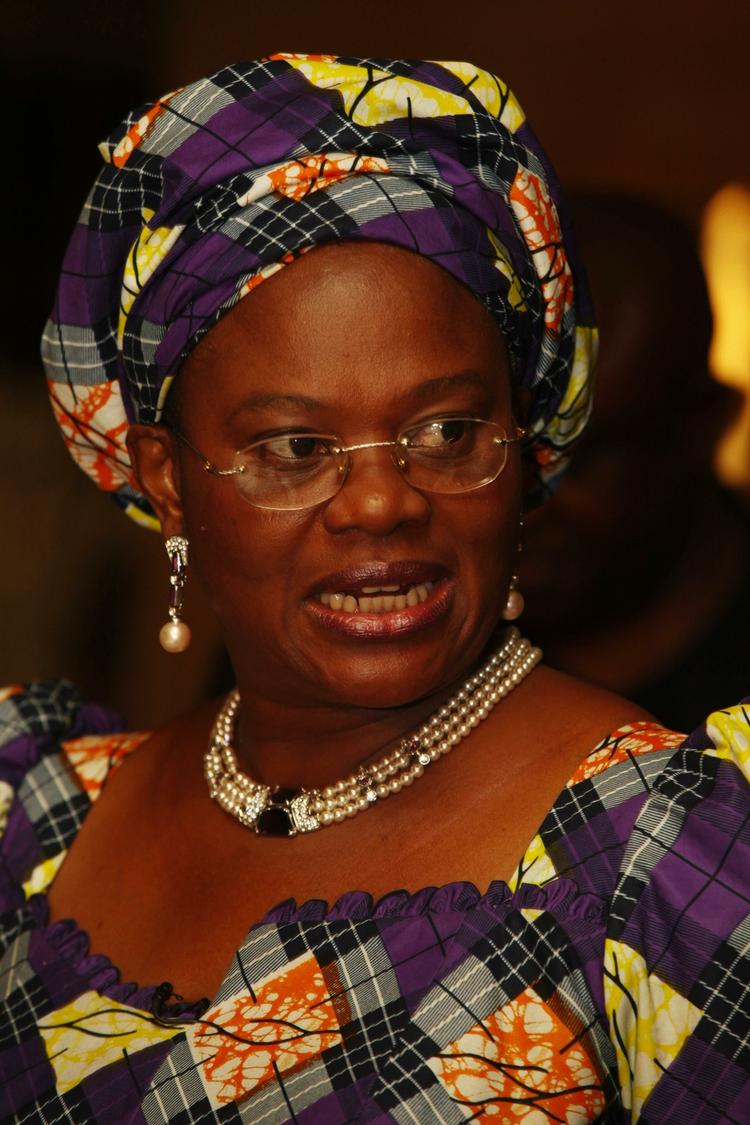 uretfærdigt. Nigerias informationsminister Dora Akunyili siger, at det er uretfærdigt, at USA har indført skærpet indrejsekontrol for landets indborgere. 