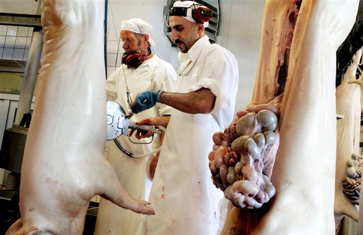 Der står meget på spil for blandt andet slagteriarbejderne - som disse på Brørup Slagteri - ved overenskomstforhandlingerne. 