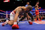 knockdown. Filippinske Manny Pacquiao har nedlagt endnu en modstander, Miguel Cotto, i kampen i november 2009. Arkivfoto. 