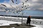 Vinter. Det vil blæse kraftigt ved vore kyster den kommende weekend. Som her ved Bellevue ud mod Øresund. Til gengæld vil kulden ikke være så slem som inde i landet. (arkivfoto) 