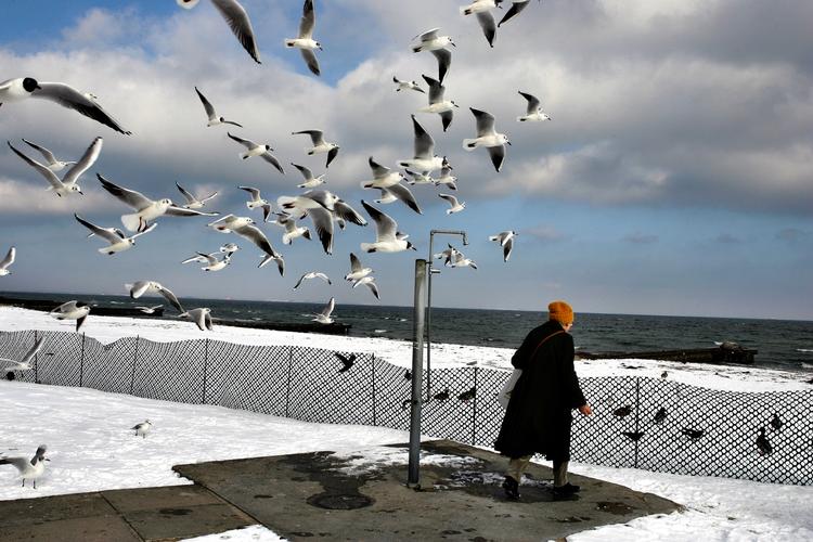 Vinter. Det vil blæse kraftigt ved vore kyster den kommende weekend. Som her ved Bellevue ud mod Øresund. Til gengæld vil kulden ikke være så slem som inde i landet. (arkivfoto) 