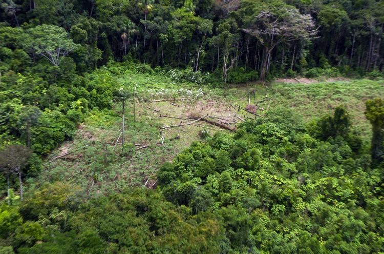 Fundet. Efter lang tids søgen her i Amazonas mener forskere nu at have fundet El Dorado. 