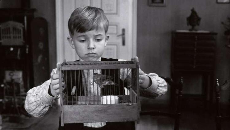 Sidste års guldpalmevinder kan nu ses i Danmark. 