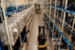 udbytterigt. Coloplast halverer antallet af danske arbejdspladser i virksomheden fra 900 til 450. Samtidig udbetaler plastvirksomheden udbytte til aktionærerne på 264 millioner kroner. Arkivfoto: Peter Hove Olesen 