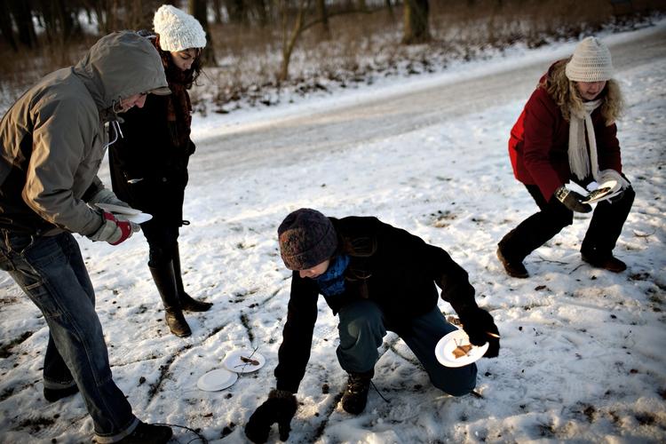 naturlære. Et hold lærestuderende får undervisning i natur og teknik i Frederiksberg Have. De klæber kviste fra forskellige træer op på paptallerkener, som børnene kan sætte ind i et klassificeringssystem. 