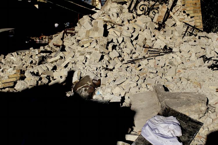 Et hoved stikker ud under et sammenstyrtet hus. 
