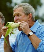 BUSH