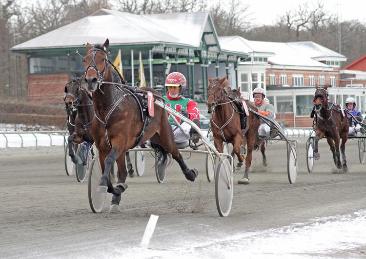 suveræn. Den tyske hingst Last Man Standing er helt i særklasse ved sin Danmarksdebut for Steen Juul i Charlottenlund. 