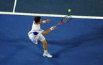 vinderslag. Denne returnering af et lob gav Andy Murray et point, der var med til at nedbryde Marin Cilic. 