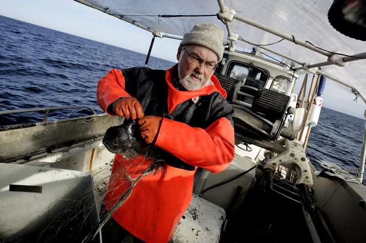 Imprægnering. Når vinteren er på sit koldeste er det tid til at lappe waders og pleje jakken. Fotos: Finn Frandsen og Rune Pedersen 