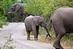 Rejser_Kruger_07-02-2010_598T7N1.jpg