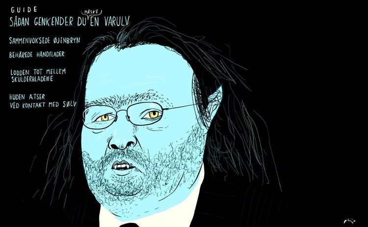 Guide. Sådan genkender man en varulv: Sammenvoksede øjenbryn, behårede håndflader, lodden tot mellem skulderbladene, huden ætser ved kontakt med sølv. Tegning: Philip Ytournel. 