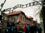 Auschwitz. Den berygtede skilt over udryddelseslejren i Polen blev stjålet i december og siden fundet i en skov skåret op i tre dele. 