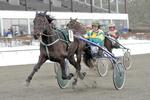 trav. No for Sale var helt overlegen for Michael Sauer i Charlottenlund 