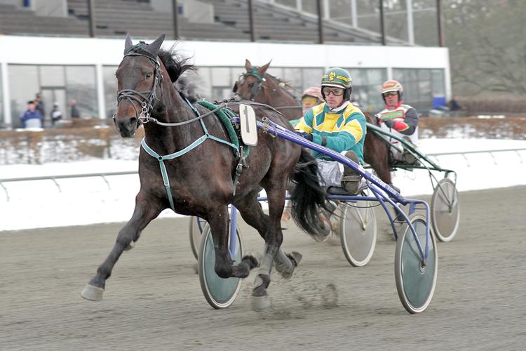 trav. No for Sale var helt overlegen for Michael Sauer i Charlottenlund 