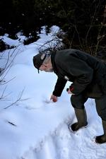 Jagten på Ulven