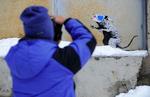 Gadekunst. Banksy tog for nylig del i indiefilmfestivalen Sundance i Utah. Arkivfoto. 