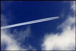 Fly på himmel