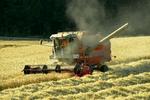 Rekordhøst. Landbruget har pløjet mange brakmarker op, og det kan ses på høstudbyttet, der blev det største i 20 år. 