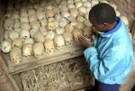 Efterladt. Det anslås, at flere end 800.000 mennesker blev dræbt i forbindelse med folkedrabet i Rwanda i 1994. (Arkivfoto) 
