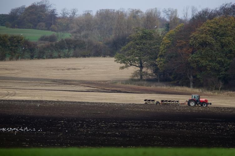 Forurening. Landbruget må enten omlægge til miljøvenlig produktion eller dø uden støtte, siger Danmarks Naturfredningsforening. 