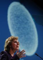 The EU Climate Commissioner, and former Danish climate minister, Connie Hedegaard who does not expect a COP environment agreement in Mexico. Hedegaard was chair of negotiations up to the U.N.'s failed COP15 Climate Summit in Copenhagen in December 2008. 