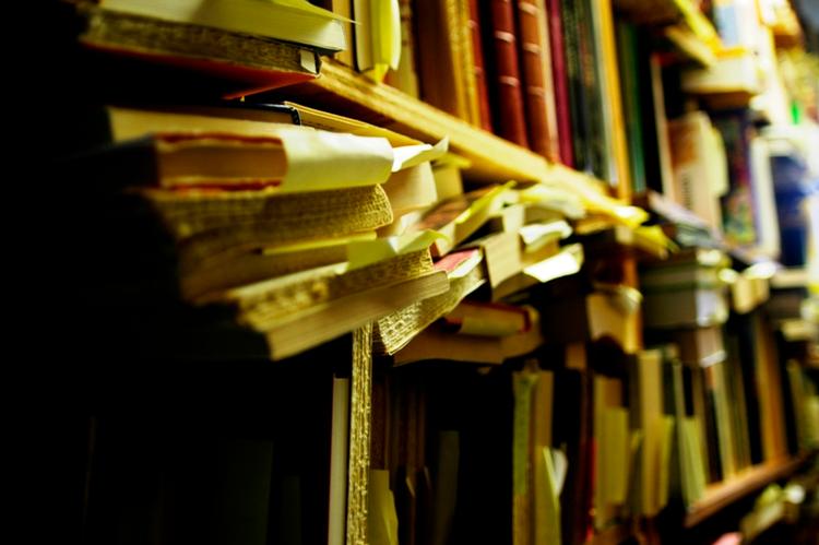 Sjældne og sære søger, kulttegneserier, gamle tryk, postkort og gulnede fotografier og atlas. Byens antikvariater er som skattekamre for bibliofile. 