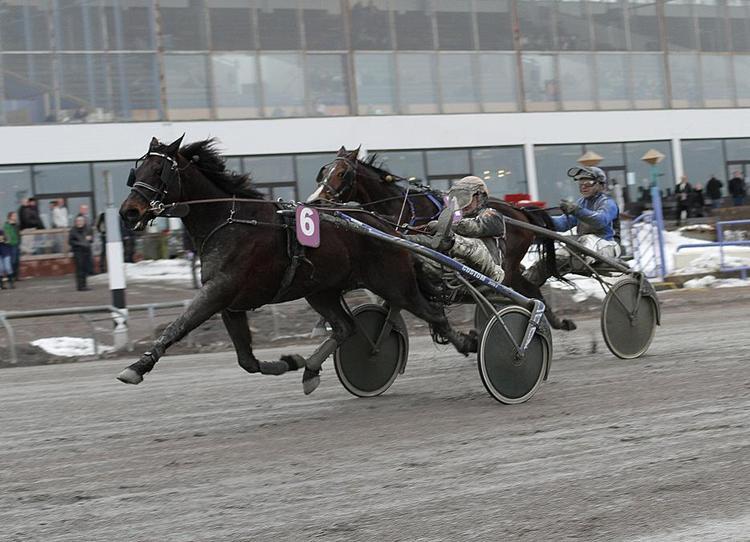 trav. Neptun Damhus giver Ken Ecce tredje dagssejr i Charlottenlund. 
