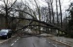 STORMVEJR. Stormen Xynthia har gjort det farligt at færdes udendørs i store dele af Vesteuropa. 