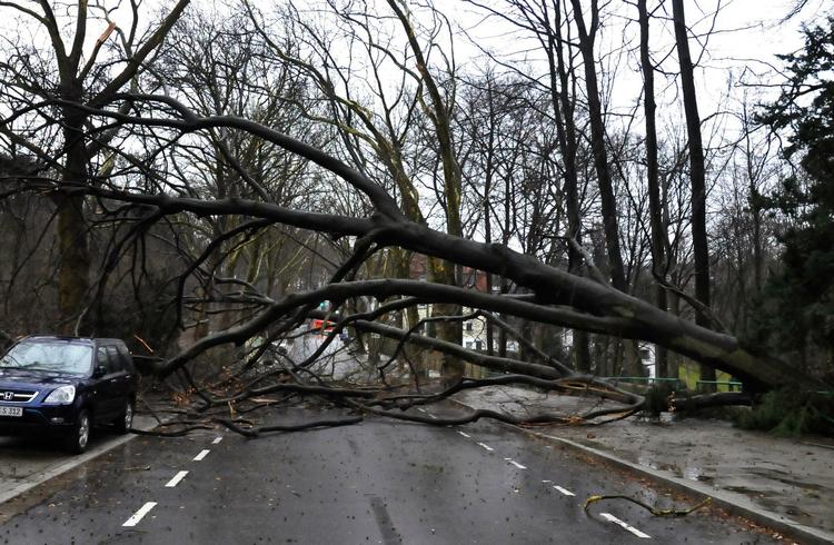 STORMVEJR. Stormen Xynthia har gjort det farligt at færdes udendørs i store dele af Vesteuropa. 