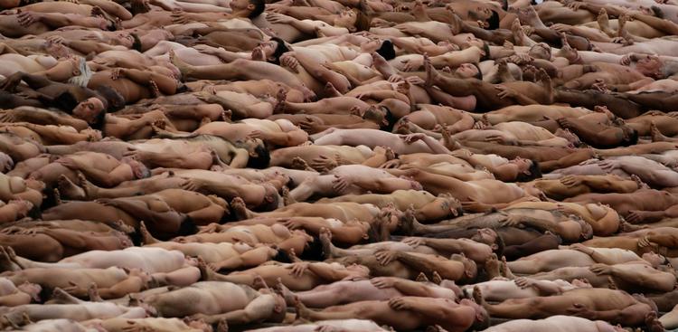 nøgen. Bunker af nøgne folk på trappen foran Operahuset i Sydney, Australien. 