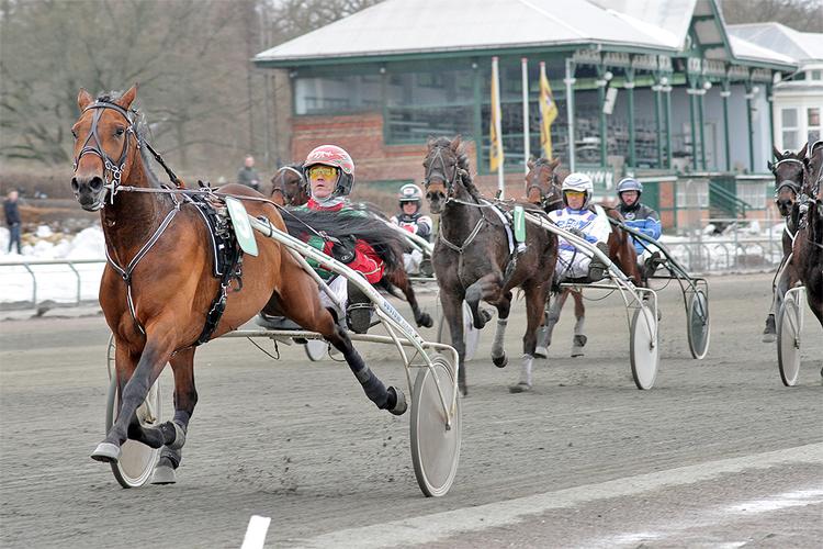 Last Man Standing virker på ingen måde plaget efter tre omgange for Steen Juul på Charlottenlund Travbane. 