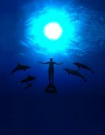 Film Review The Cove
