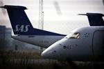 Et SAS-fly måtte vende om på vej mod Malaga. Senere viste det sig, at en lille bi var kommet på tværs af den tonstunge maskine. Arkivfoto. 
