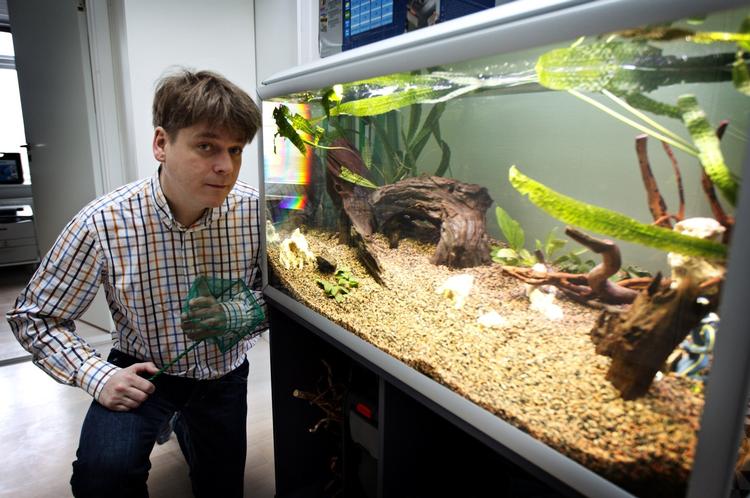 Fiskemand. Hjerneforsker m.m. Peter Lund Madsens seneste indkøb er et akvarium. 