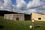 FLUGTSIKRET. Den drabsmistænkte somalier fra Holstebro skal til Sikringsanstalten i Nykøbing Sj., mens han mentalundersøges. 