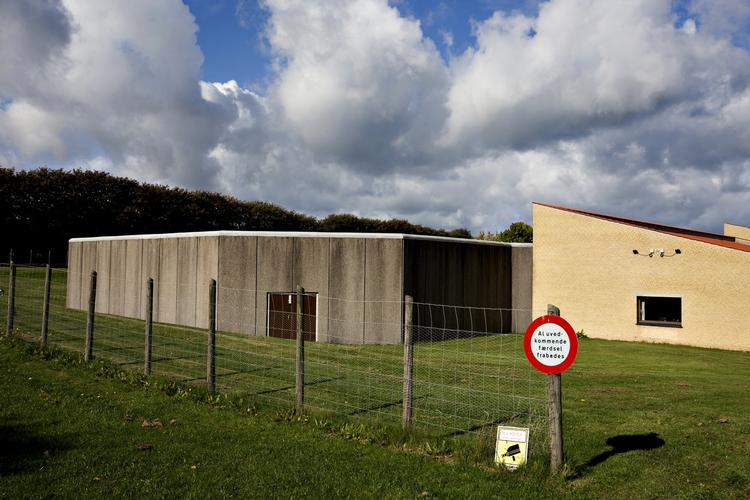 FLUGTSIKRET. Den drabsmistænkte somalier fra Holstebro skal til Sikringsanstalten i Nykøbing Sj., mens han mentalundersøges. 