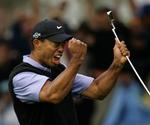 køllesvinger. Tiden vil vise, om Tiger Woods har grund til at juble igen på golfbanerne, efter amerikaneren oplevede et massivt dyk i popularitet oven på en utroskabssag. Arkivfoto. 