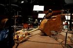belastet. En forskningsprojekt afslører, at professionelle musikere slider gevaldigt på fysikken under karrieren. 