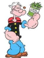 87912-skipper-skrk-havde-ret--