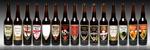 Det er Midtfyns Bryghus' øl Chili Tripel, der har vundet over de 603 andre ølnyheder i 2009. Det er Chili Tripel i midten. 