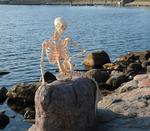 Påskesnyd. Museumsfolk kunne i dag præsentere Den Lille Havfrue som skelet på Langelinie i København. 