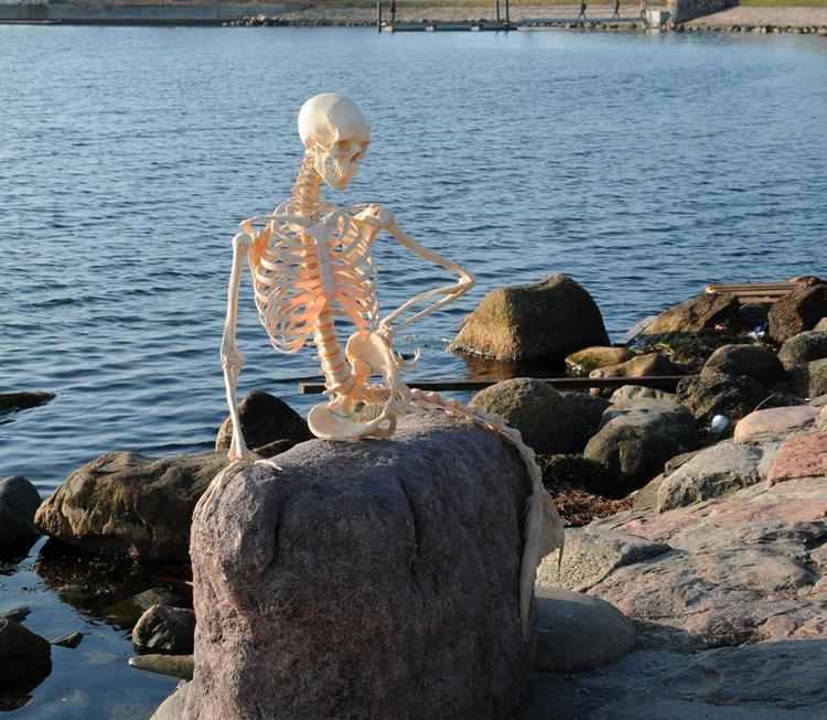 Påskesnyd. Museumsfolk kunne i dag præsentere Den Lille Havfrue som skelet på Langelinie i København. 