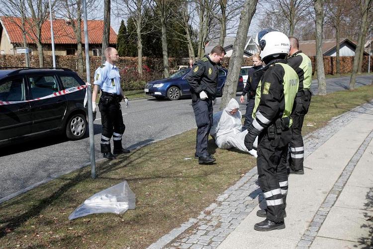 Anholdt. Allerød Nyt fangede dette billede af en af anholdelserne. Den anholdte sidder op af et træ. 
