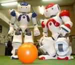 Den lille halv meter høje selskabsrobot NAO er blandt attraktionerne, når Experimentarium i morgen åbner for Robotfestival 2010. NAO kan f.eks. danse, tale og spille fodbold som her. Prisen for NAO er "beskedne" 80.000 kroner 