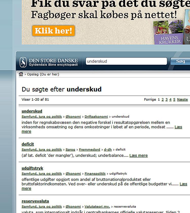 Deficit. På sitet denstoredanske.dk kan brugerne gratis læse alle leksikonopslag fra Encyklopædien. Men der er for få brugere til at generere annonceindtægter nok. Foto: Martin Bubandt 