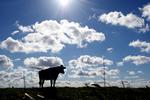 Metorologerne lover sol og regn i weekenden. (arkivfoto) 