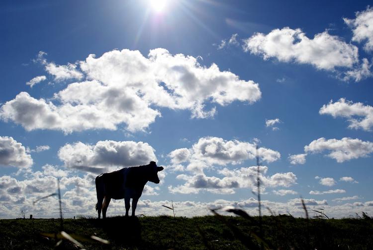 Metorologerne lover sol og regn i weekenden. (arkivfoto) 