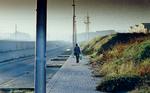 Pedro Aguileras debutfilm 'La Influencia' fortæller i uhyggeligt flotte billeder om to søskendebørn, der overlades til skæbnen og hinanden af en fordrukken mor. Foto fra filmen. 